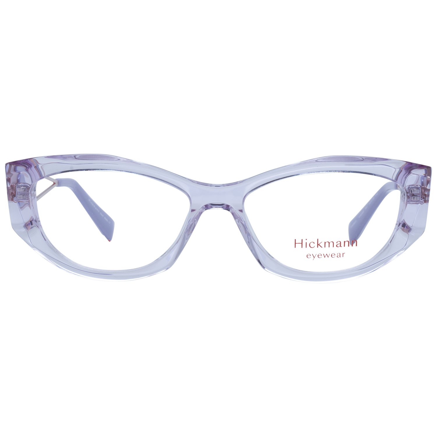 Ana Hickmann Optical Frame HI6299 T01 53