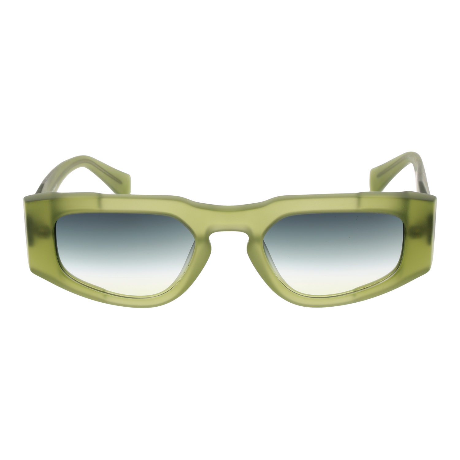 Ana Hickmann Sunglasses HI9220 T01 51