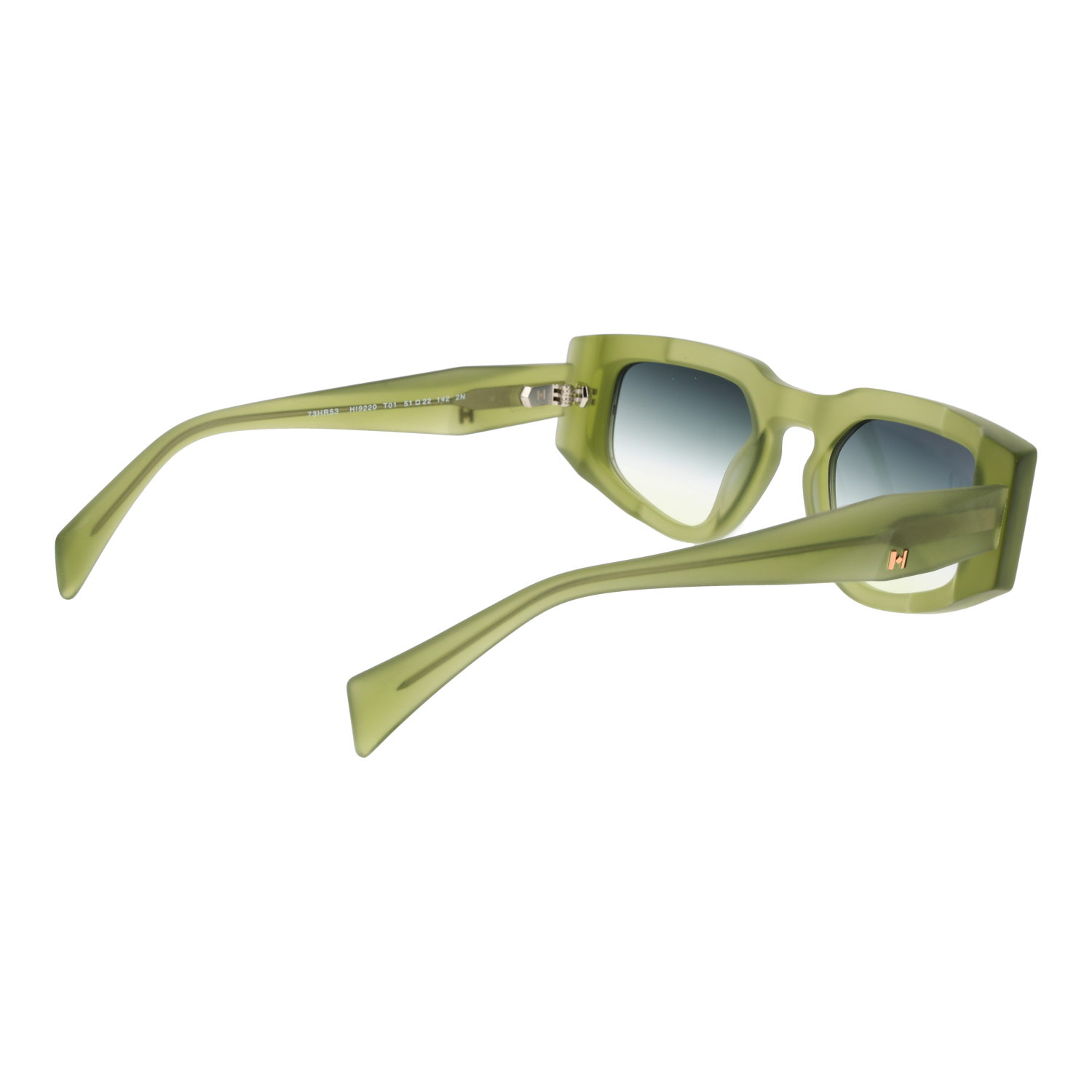 Ana Hickmann Sunglasses HI9220 T01 51