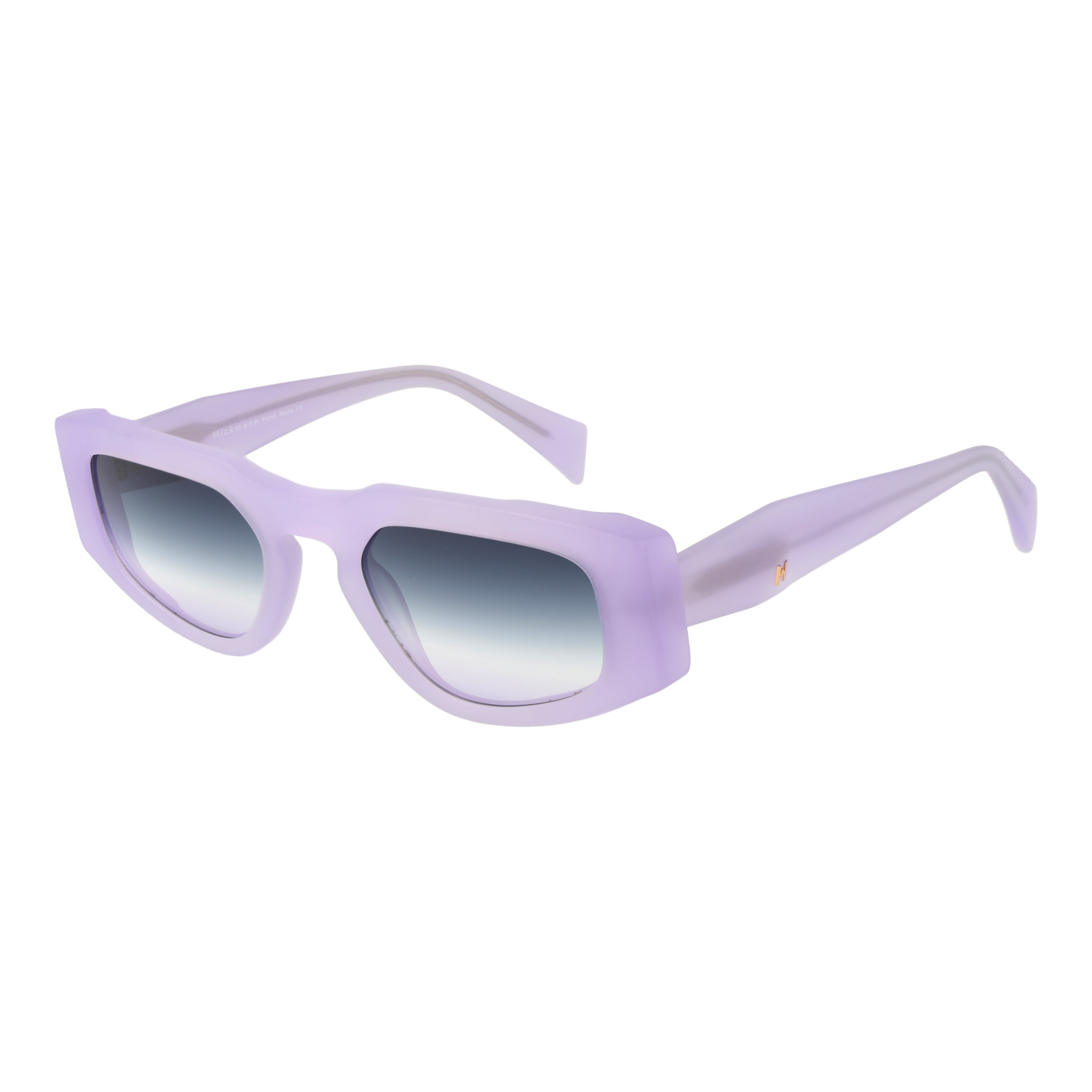 Ana Hickmann Sunglasses HI9220 T02 51