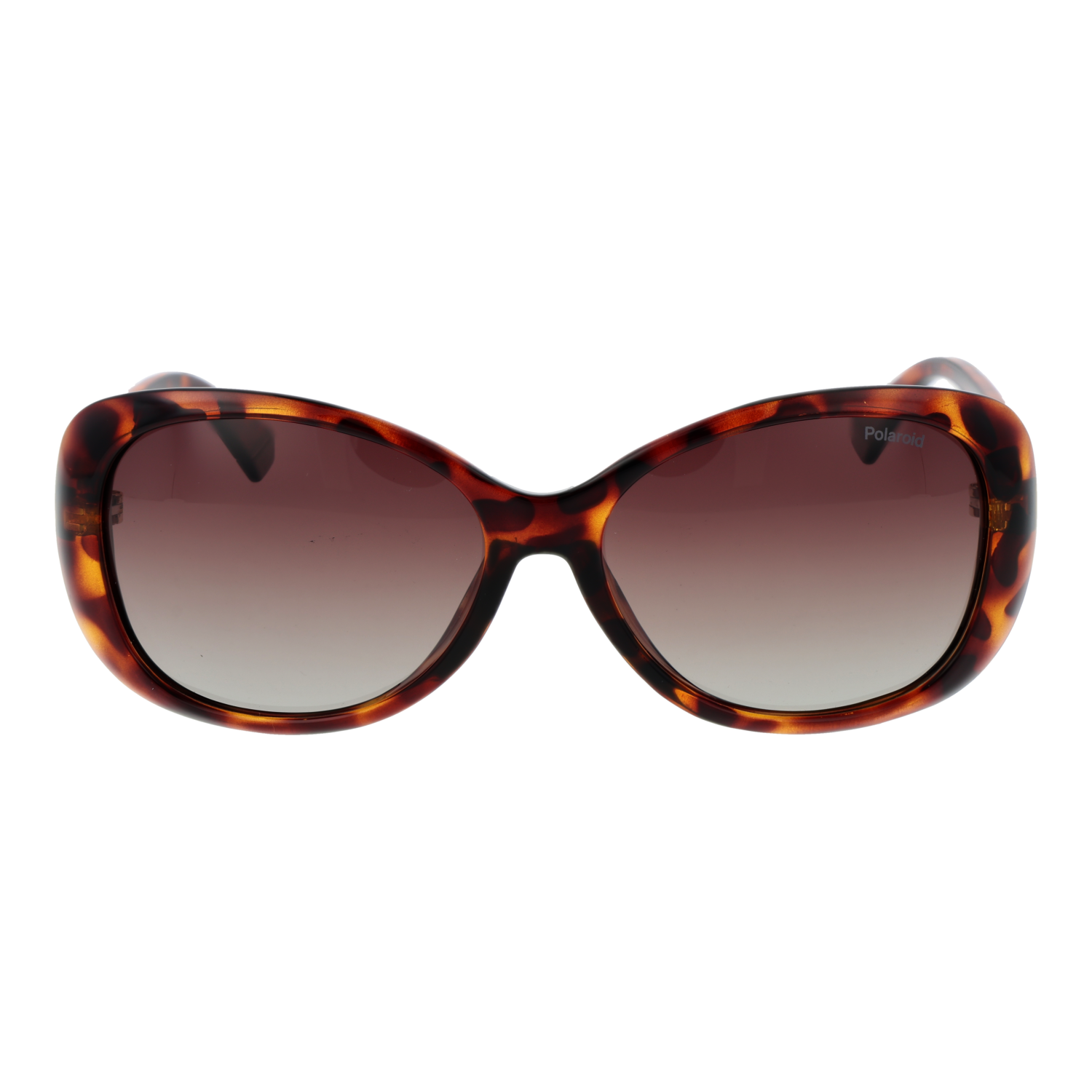 Polaroid Sunglasses PLD 4097/S 086LA 57