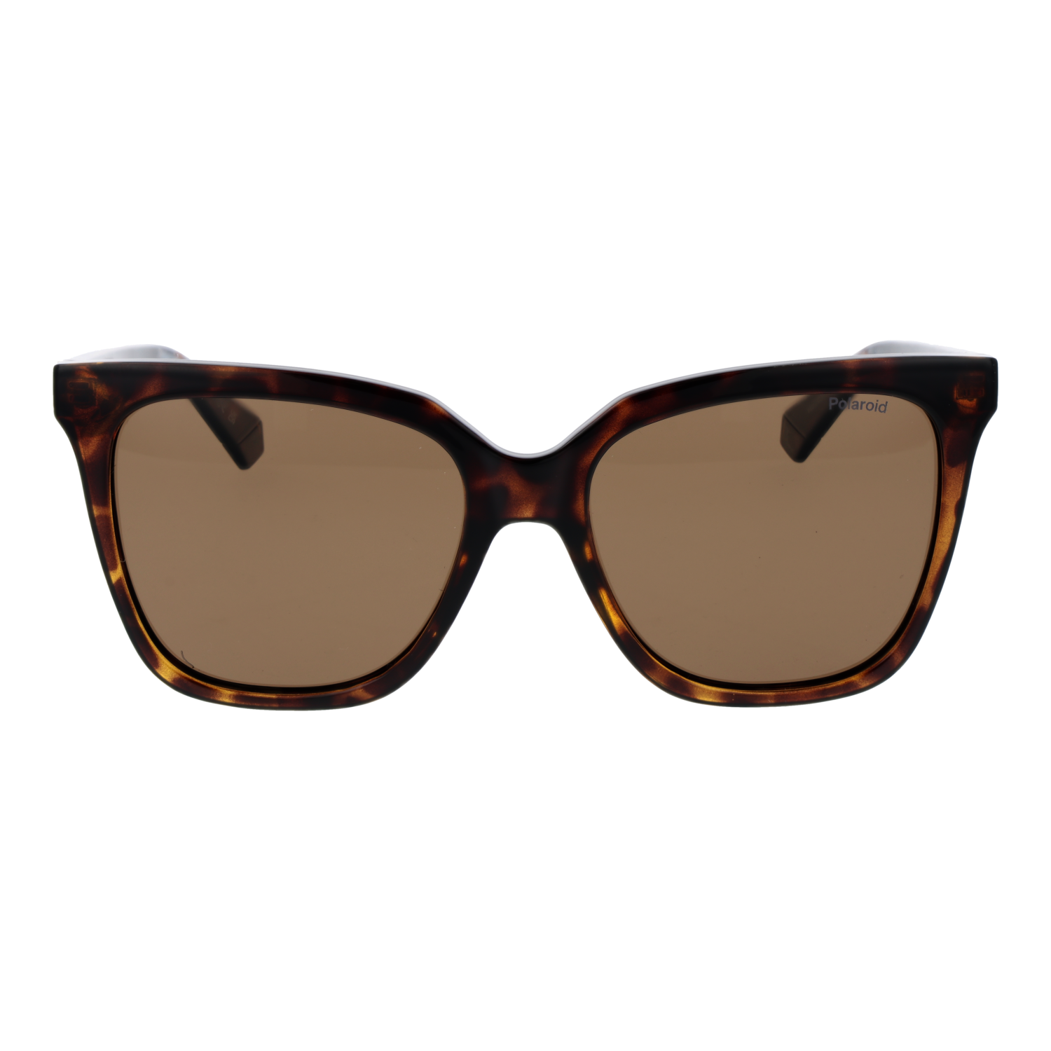 Polaroid Sunglasses PLD 4155/S/X 086SP 55