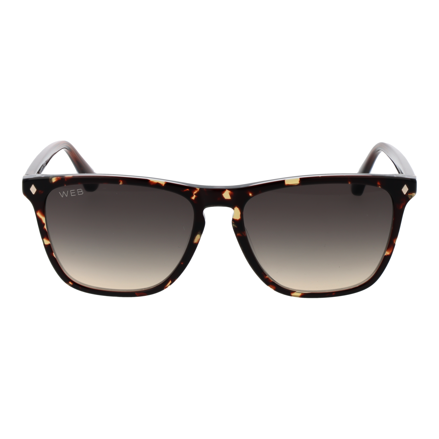 Lunettes de soleil WE0363 56B 55