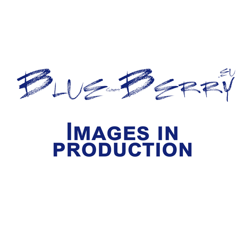 Comma Sunglasses 77171 71 53